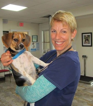 decor image on Shohola Veterinary Hospital